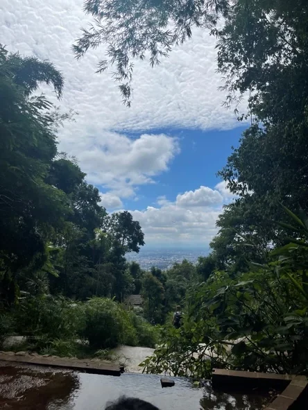 Day 4