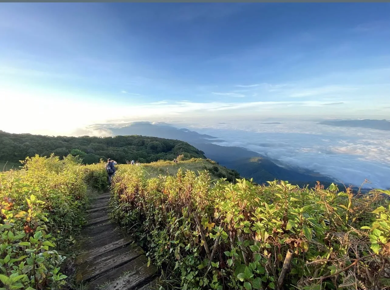 Optional Day Trip: Doi Inthanon National Park